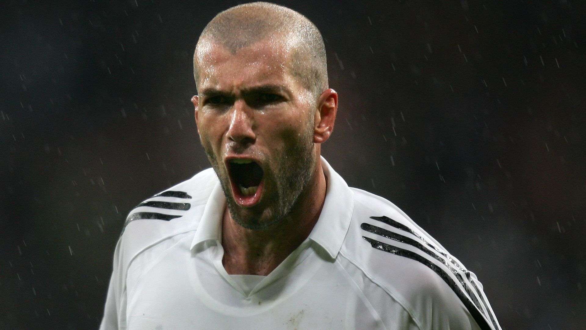 或许能为全 或许能为全